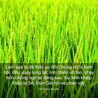 Picture 03 - Giê-rê-mi-a 46:5 VIE - Làm sao ta đã thấy sự đó! Chúng nó - Bible Verse Picture