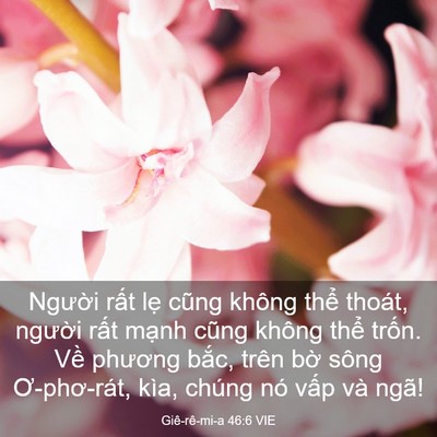Picture 03 - Giê-rê-mi-a 46:6 VIE - Người rất lẹ cũng không thể thoát, - Bible Verse Picture