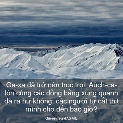 Picture 03 - Giê-rê-mi-a 47:5 VIE - Ga-xa đã trở nên trọc trọi; - Bible Verse Picture