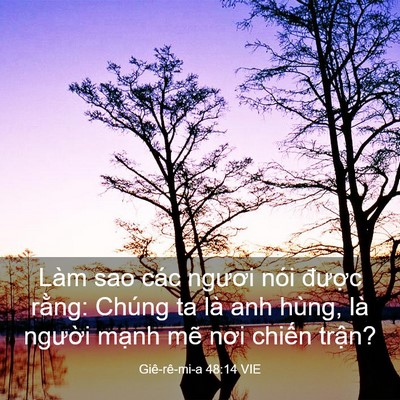 Picture 03 - Giê-rê-mi-a 48:14 VIE - Làm sao các ngươi nói được rằng: - Bible Verse Picture
