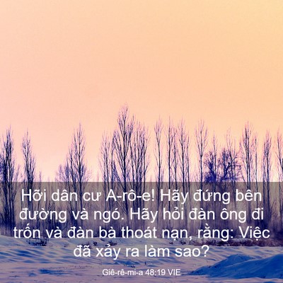 Picture 03 - Giê-rê-mi-a 48:19 VIE - Hỡi dân cư A-rô-e! Hãy đứng bên - Bible Verse Picture