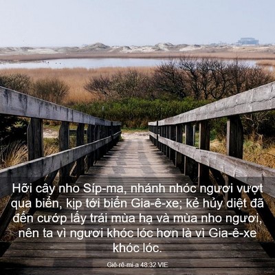Picture 03 - Giê-rê-mi-a 48:32 VIE - Hỡi cây nho Síp-ma, nhánh nhóc ngươi - Bible Verse Picture