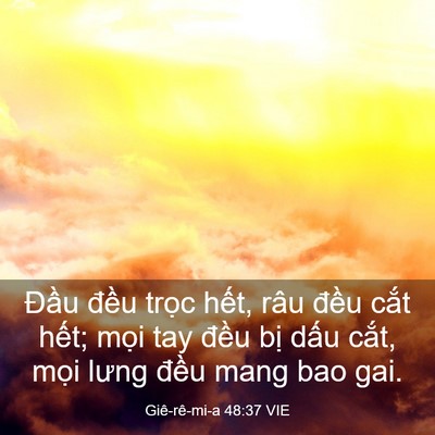 Picture 03 - Giê-rê-mi-a 48:37 VIE - Đầu đều trọc hết, râu đều cắt - Bible Verse Picture