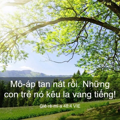Picture 03 - Giê-rê-mi-a 48:4 VIE - Mô-áp tan nát rồi. Những con trẻ nó - Bible Verse Picture
