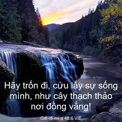 Picture 03 - Giê-rê-mi-a 48:6 VIE - Hãy trốn đi, cứu lấy sự sống mình, - Bible Verse Picture