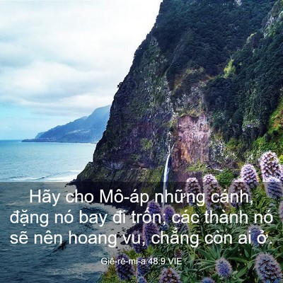 Picture 03 - Giê-rê-mi-a 48:9 VIE - Hãy cho Mô-áp những cánh, đặng nó bay - Bible Verse Picture