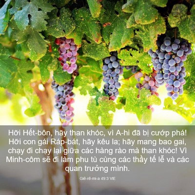 Picture 03 - Giê-rê-mi-a 49:3 VIE - Hỡi Hết-bôn, hãy than khóc, vì A-hi đã - Bible Verse Picture
