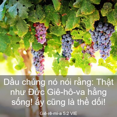 Picture 03 - Giê-rê-mi-a 5:2 VIE - Dầu chúng nó nói rằng: Thật như Đức - Bible Verse Picture