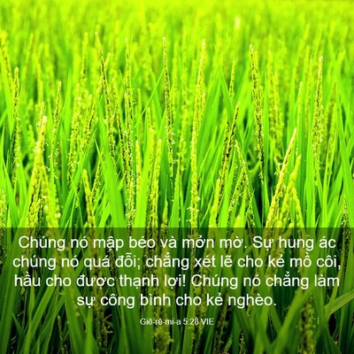 Picture 03 - Giê-rê-mi-a 5:28 VIE - Chúng nó mập béo và mởn mờ. Sự hung - Bible Verse Picture