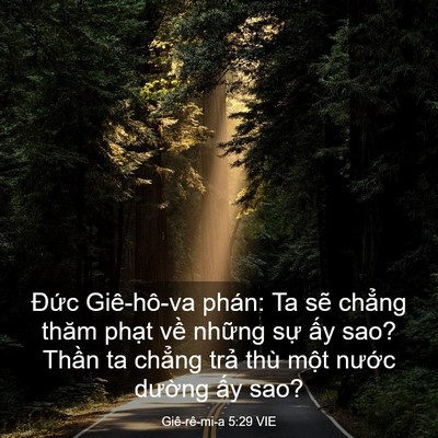 Picture 03 - Giê-rê-mi-a 5:29 VIE - Đức Giê-hô-va phán: Ta sẽ chẳng thăm - Bible Verse Picture