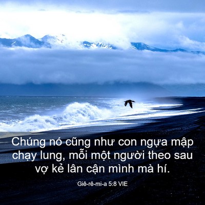 Picture 03 - Giê-rê-mi-a 5:8 VIE - Chúng nó cũng như con ngựa mập chạy - Bible Verse Picture