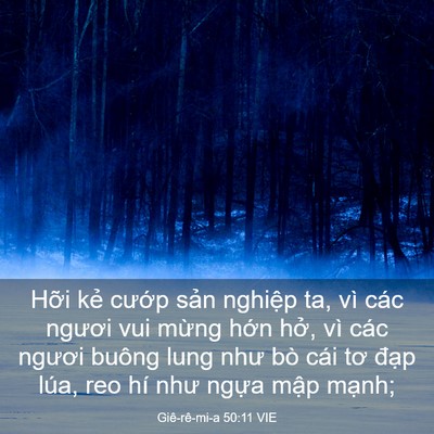 Picture 03 - Giê-rê-mi-a 50:11 VIE - Hỡi kẻ cướp sản nghiệp ta, vì các - Bible Verse Picture