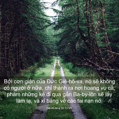 Picture 03 - Giê-rê-mi-a 50:13 VIE - Bởi cơn giận của Đức Giê-hô-va, nó - Bible Verse Picture