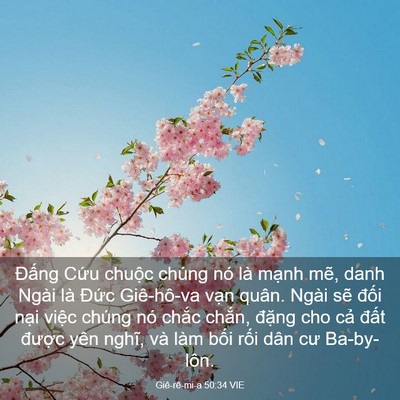 Picture 03 - Giê-rê-mi-a 50:34 VIE - Đấng Cứu chuộc chúng nó là mạnh mẽ, - Bible Verse Picture