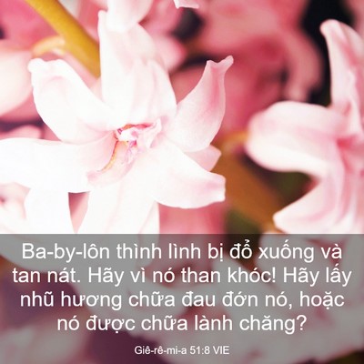Picture 03 - Giê-rê-mi-a 51:8 VIE - Ba-by-lôn thình lình bị đổ xuống và - Bible Verse Picture