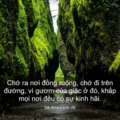 Picture 03 - Giê-rê-mi-a 6:25 VIE - Chớ ra nơi đồng ruộng, chớ đi trên - Bible Verse Picture