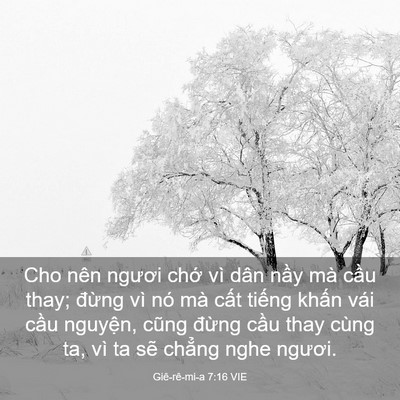 Picture 03 - Giê-rê-mi-a 7:16 VIE - Cho nên ngươi chớ vì dân nầy mà cầu - Bible Verse Picture