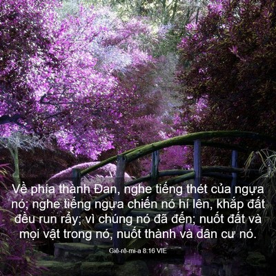 Picture 03 - Giê-rê-mi-a 8:16 VIE - Về phía thành Đan, nghe tiếng thét của - Bible Verse Picture