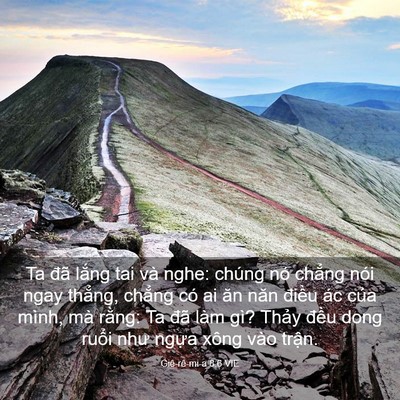 Picture 03 - Giê-rê-mi-a 8:6 VIE - Ta đã lắng tai và nghe: chúng nó chẳng - Bible Verse Picture