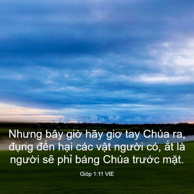 Picture 03 - Gióp 1:11 VIE - Nhưng bây giờ hãy giơ tay Chúa ra, đụng - Bible Verse Picture