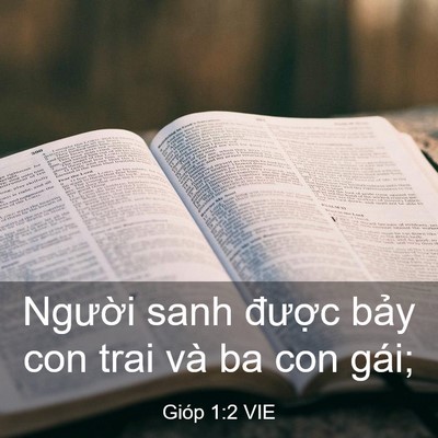 Picture 03 - Gióp 1:2 VIE - Người sanh được bảy con trai và ba con - Bible Verse Picture