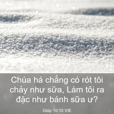 Picture 03 - Gióp 10:10 VIE - Chúa há chẳng có rót tôi chảy như - Bible Verse Picture