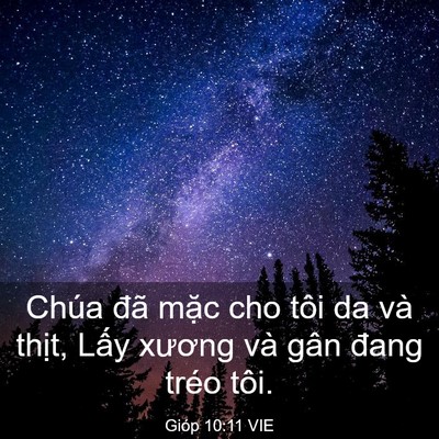 Picture 03 - Gióp 10:11 VIE - Chúa đã mặc cho tôi da và thịt, Lấy - Bible Verse Picture