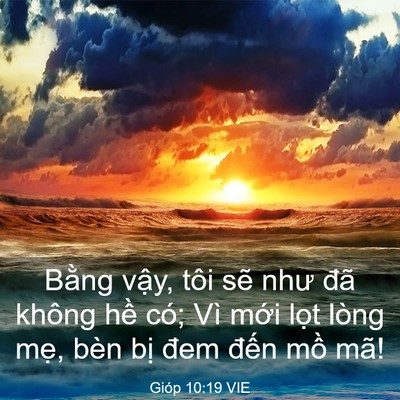 Picture 03 - Gióp 10:19 VIE - Bằng vậy, tôi sẽ như đã không hề - Bible Verse Picture