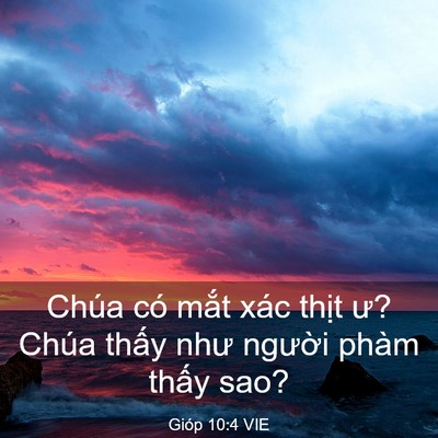Picture 03 - Gióp 10:4 VIE - Chúa có mắt xác thịt ư? Chúa thấy như - Bible Verse Picture