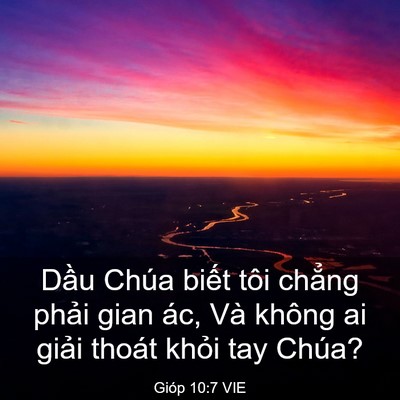 Picture 03 - Gióp 10:7 VIE - Dầu Chúa biết tôi chẳng phải gian ác, - Bible Verse Picture