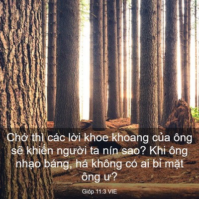 Picture 03 - Gióp 11:3 VIE - Chớ thì các lời khoe khoang của ông sẽ - Bible Verse Picture
