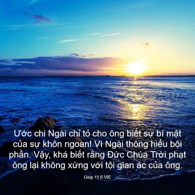 Picture 03 - Gióp 11:6 VIE - Ước chi Ngài chỉ tỏ cho ông biết sự - Bible Verse Picture