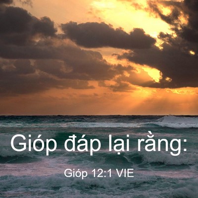 Picture 03 - Gióp 12:1 VIE - Gióp đáp lại - Bible Verse Picture