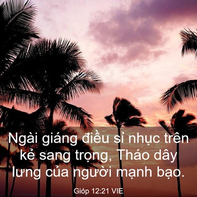 Picture 03 - Gióp 12:21 VIE - Ngài giáng điều sỉ nhục trên kẻ sang - Bible Verse Picture