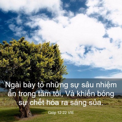 Picture 03 - Gióp 12:22 VIE - Ngài bày tỏ những sự sâu nhiệm ẩn - Bible Verse Picture