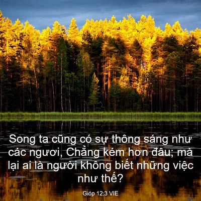 Picture 03 - Gióp 12:3 VIE - Song ta cũng có sự thông sáng như các - Bible Verse Picture