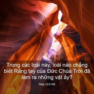 Picture 03 - Gióp 12:9 VIE - Trong các loài này, loài nào chẳng biết - Bible Verse Picture