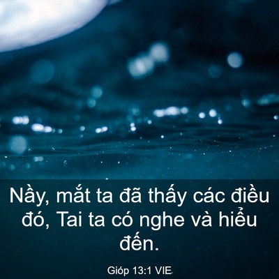 Picture 03 - Gióp 13:1 VIE - Nầy, mắt ta đã thấy các điều đó, - Bible Verse Picture