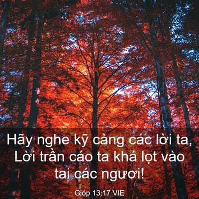 Picture 03 - Gióp 13:17 VIE - Hãy nghe kỹ càng các lời ta, Lời trần - Bible Verse Picture