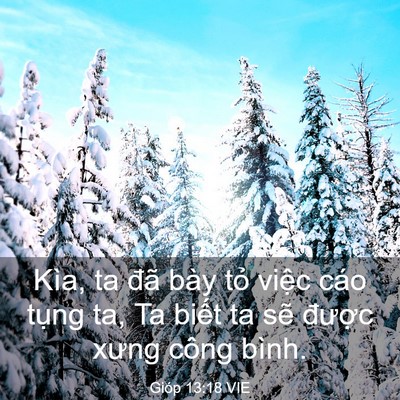 Picture 03 - Gióp 13:18 VIE - Kìa, ta đã bày tỏ việc cáo tụng ta, Ta - Bible Verse Picture