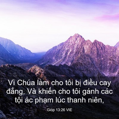 Picture 03 - Gióp 13:26 VIE - Vì Chúa làm cho tôi bị điều cay đắng, - Bible Verse Picture