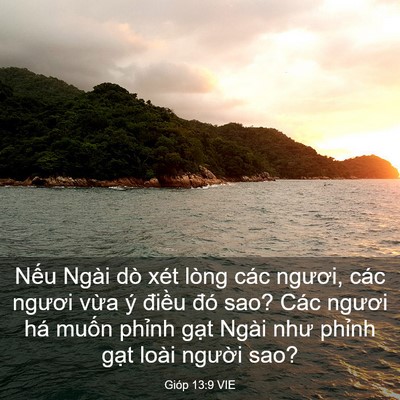 Picture 03 - Gióp 13:9 VIE - Nếu Ngài dò xét lòng các ngươi, các - Bible Verse Picture