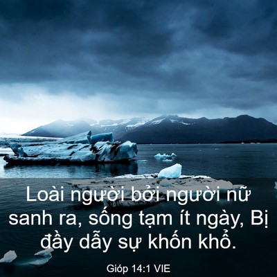 Picture 03 - Gióp 14:1 VIE - Loài người bởi người nữ sanh ra, - Bible Verse Picture