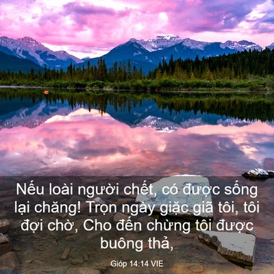 Picture 03 - Gióp 14:14 VIE - Nếu loài người chết, có được sống - Bible Verse Picture