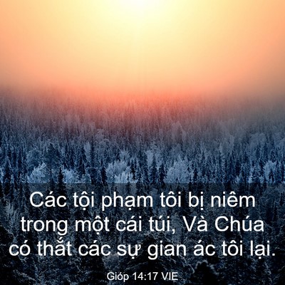 Picture 03 - Gióp 14:17 VIE - Các tội phạm tôi bị niêm trong một - Bible Verse Picture
