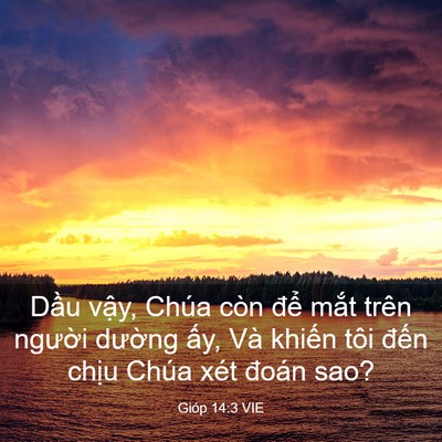 Picture 03 - Gióp 14:3 VIE - Dầu vậy, Chúa còn để mắt trên - Bible Verse Picture