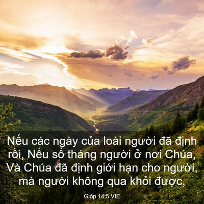 Picture 03 - Gióp 14:5 VIE - Nếu các ngày của loài người đã - Bible Verse Picture