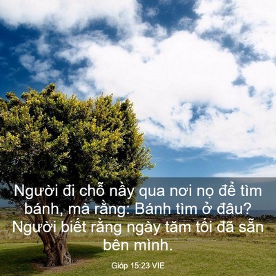 Picture 03 - Gióp 15:23 VIE - Người đi chỗ nầy qua nơi nọ để tìm - Bible Verse Picture