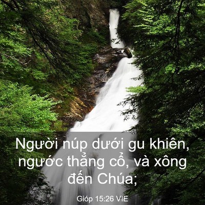 Picture 03 - Gióp 15:26 VIE - Người núp dưới gu khiên, ngước thẳng - Bible Verse Picture