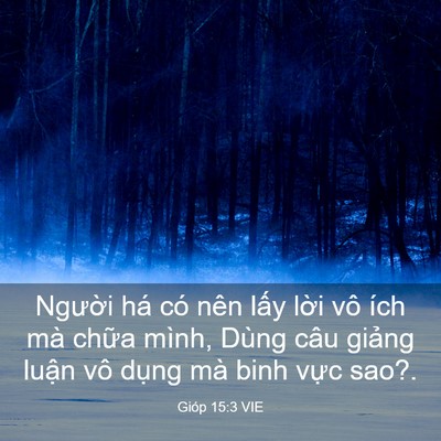 Picture 03 - Gióp 15:3 VIE - Người há có nên lấy lời vô ích mà - Bible Verse Picture